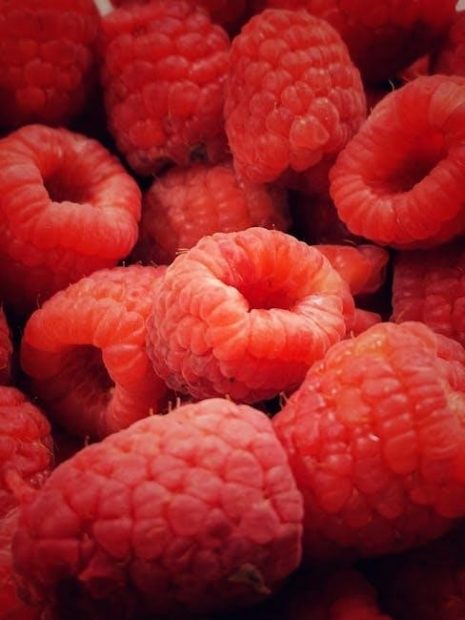 gastric ulcer diet pdf