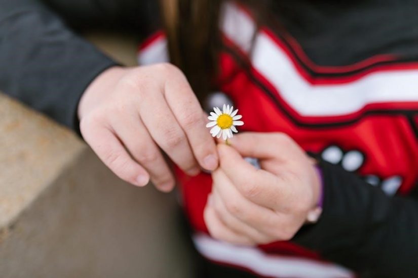daisy money explorer badge requirements pdf